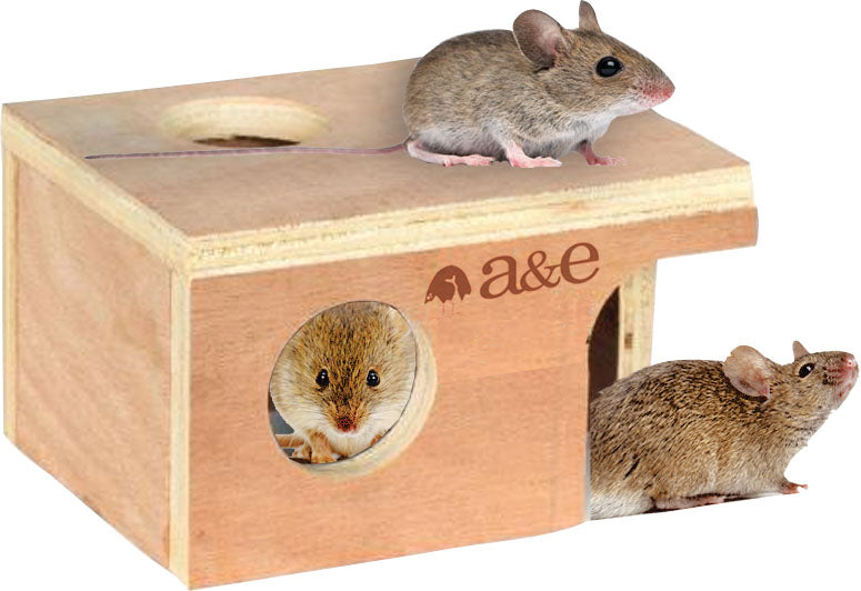 Nibbles Mouse Hut