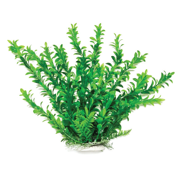 Anacharis-Like Weighted Aquarium Plant