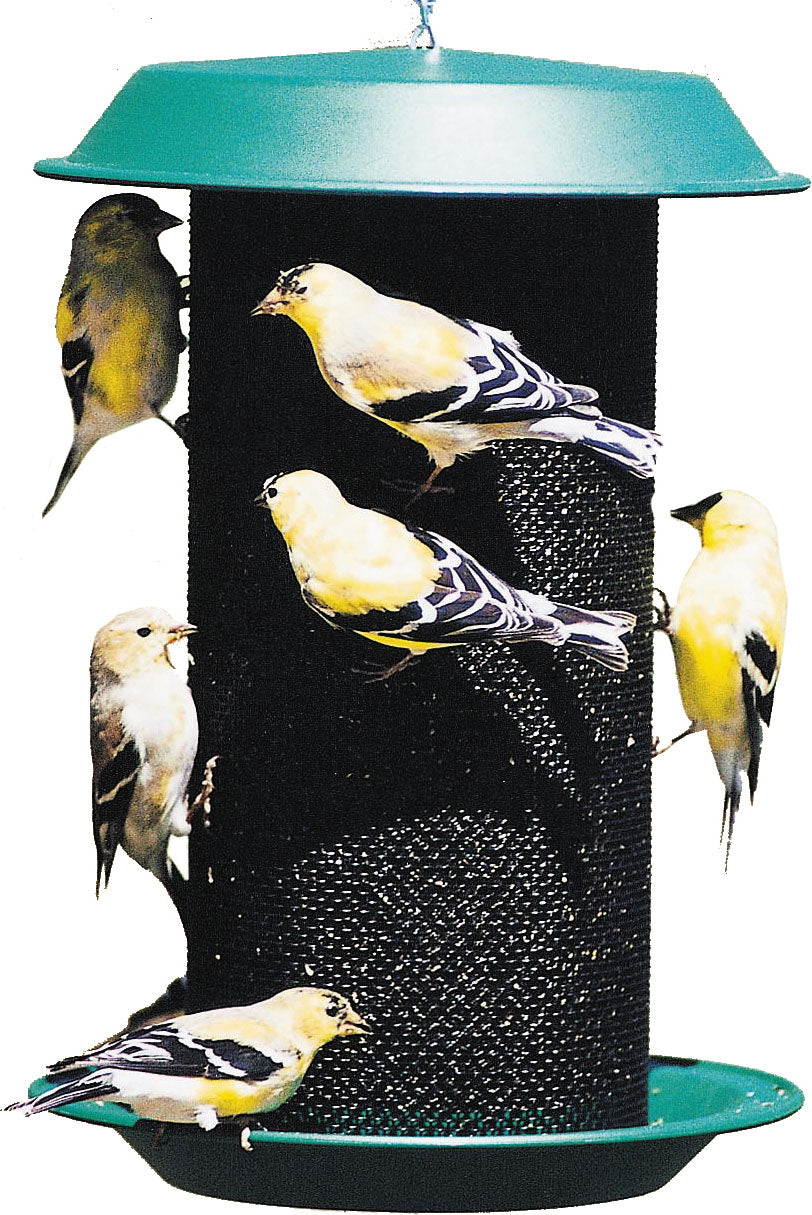 Magnum Plastic Thistle Screen Feeder
