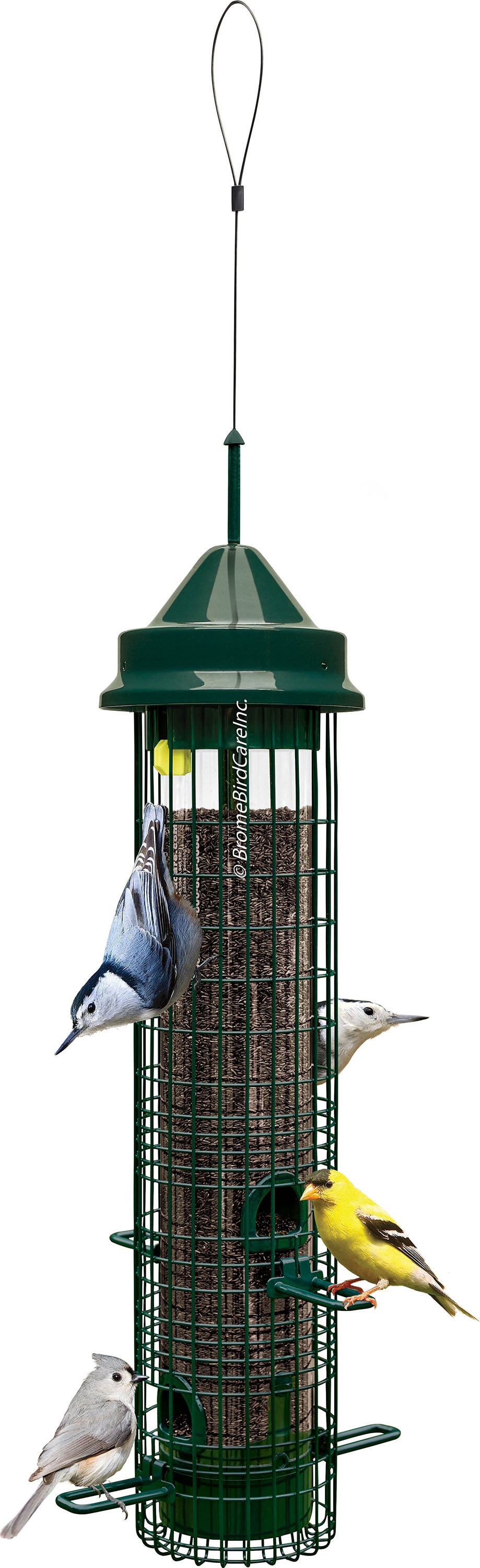 Squirrel Buster Classic Wild Bird Feeder
