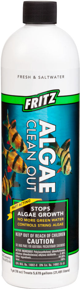 Fritz Algae Clean Out
