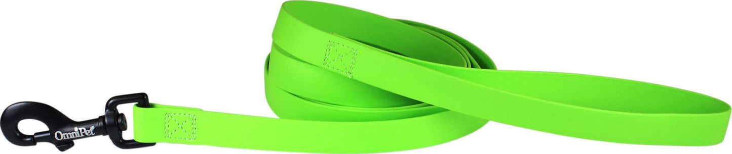Carnival Biothane Dog Lead