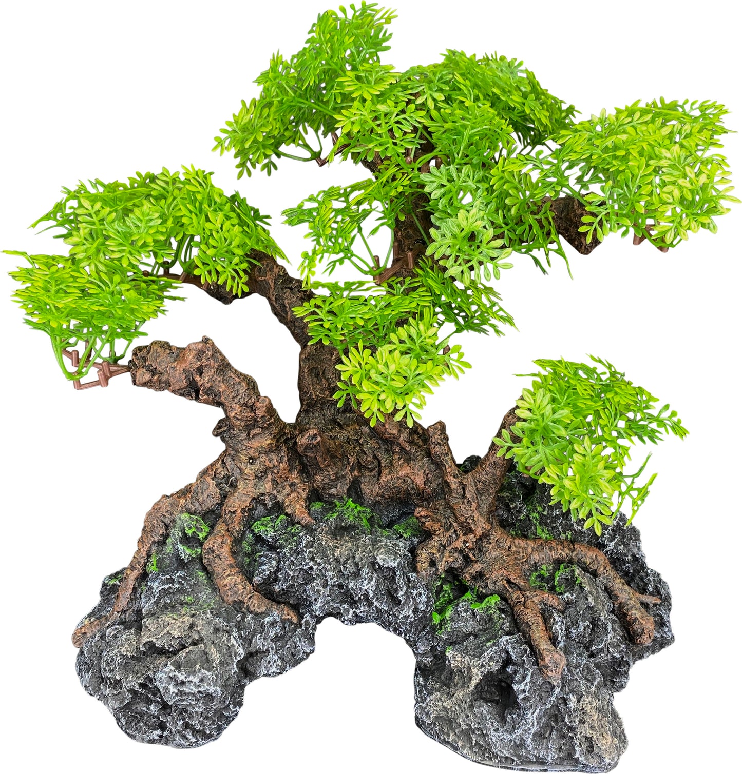 Komodo Bonsai Tree With Hide