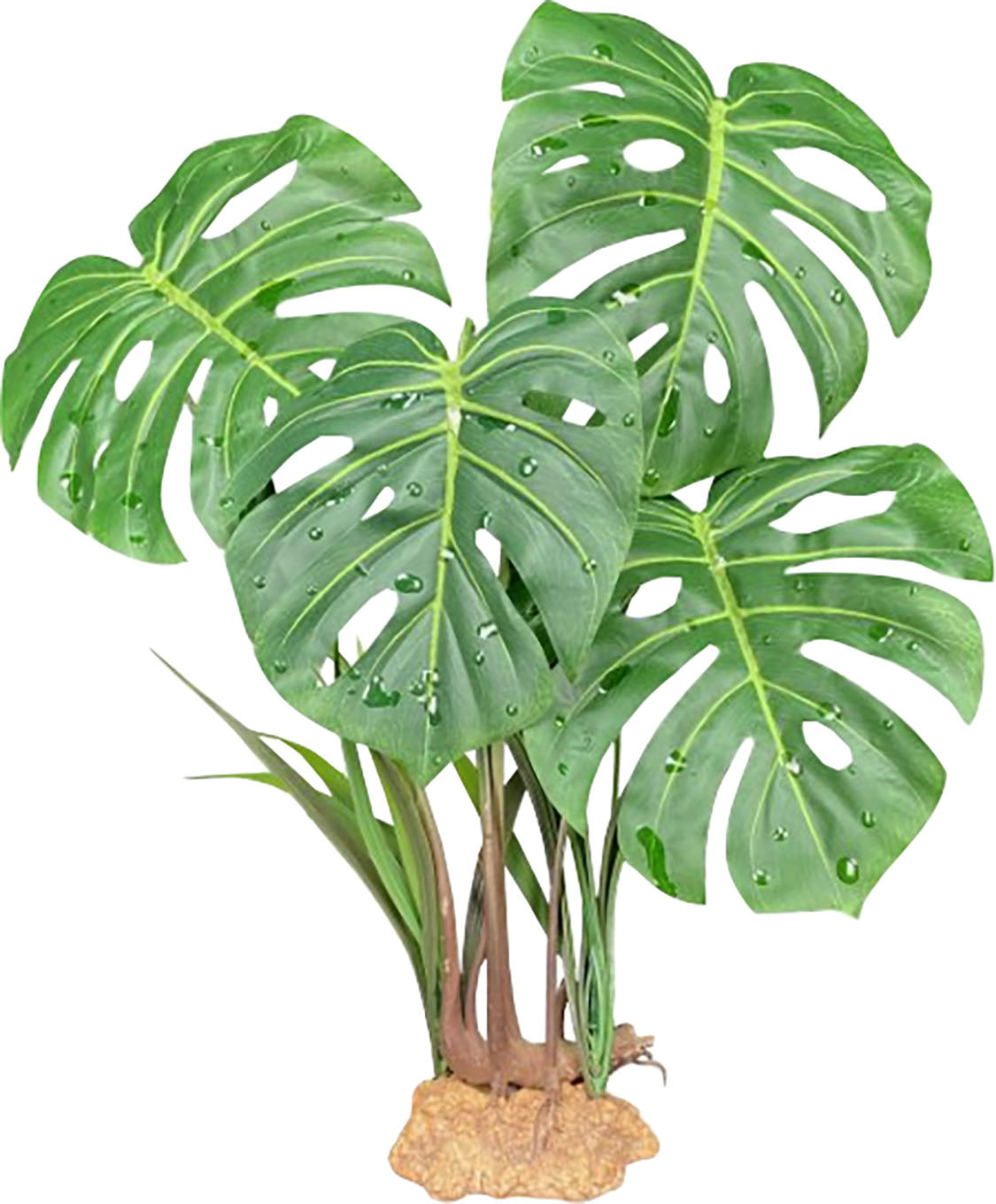 Komodo Monstera Standing Plant