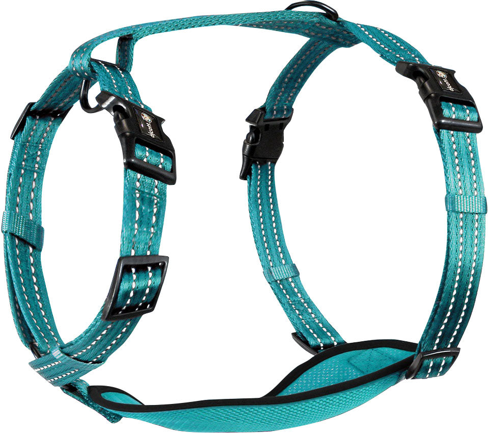 Alcott Adventure Harness
