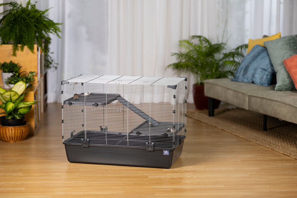 Small Animal Home Universal Suburban