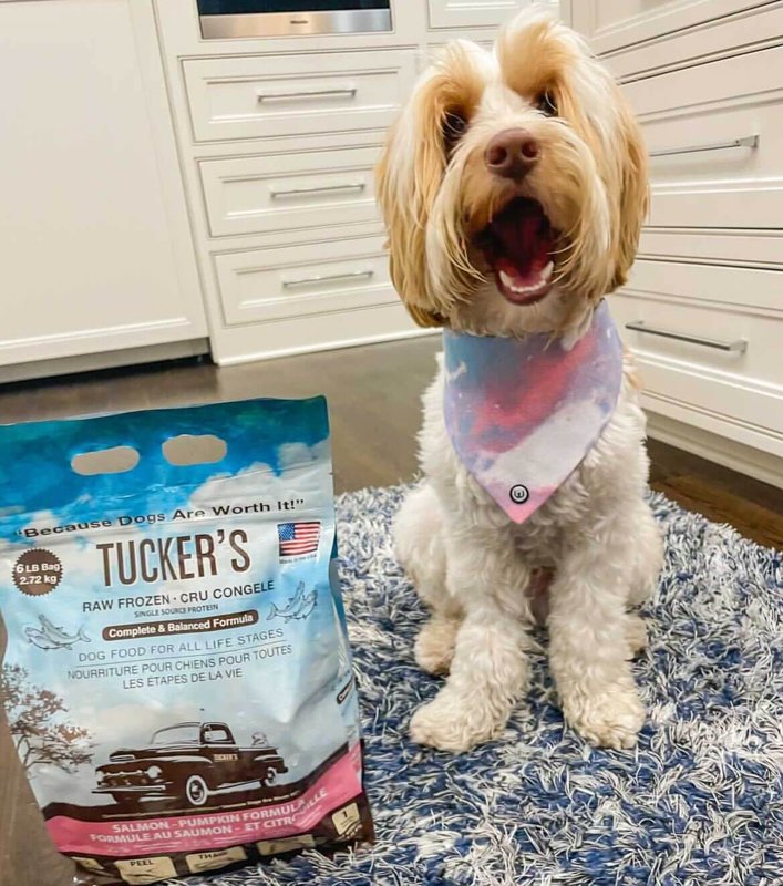 Tucker's, Frozen, Raw Dog Salmon/Pumpkin, 6 Pound