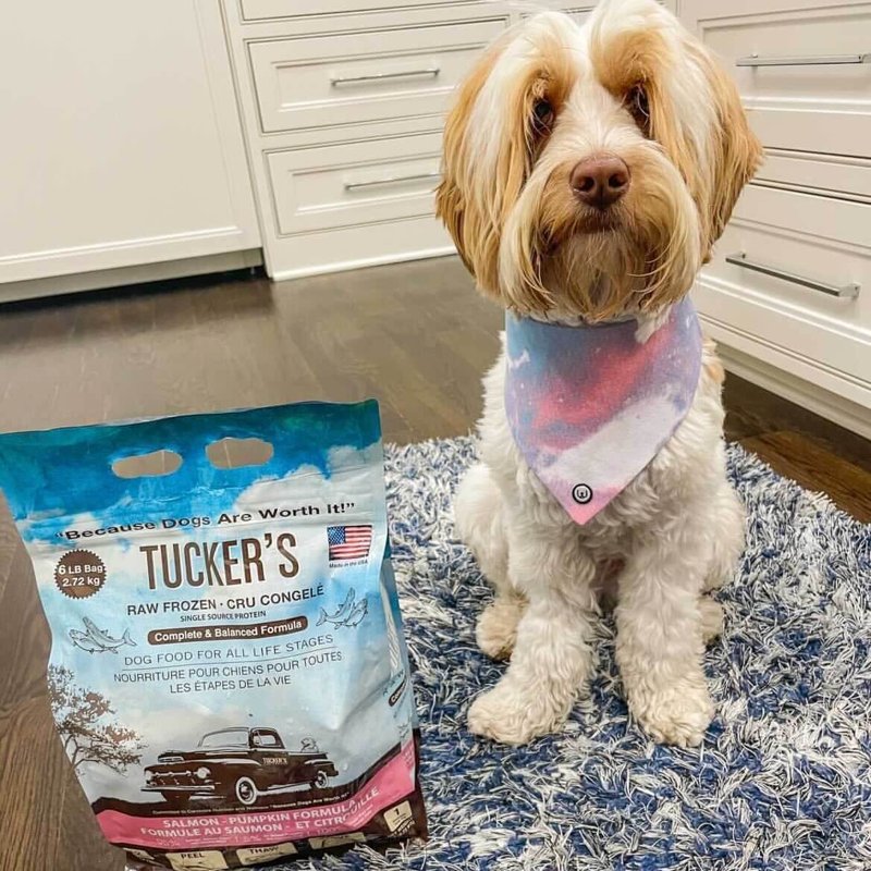 Tucker's, Frozen, Raw Dog Salmon/Pumpkin, 6 Pound