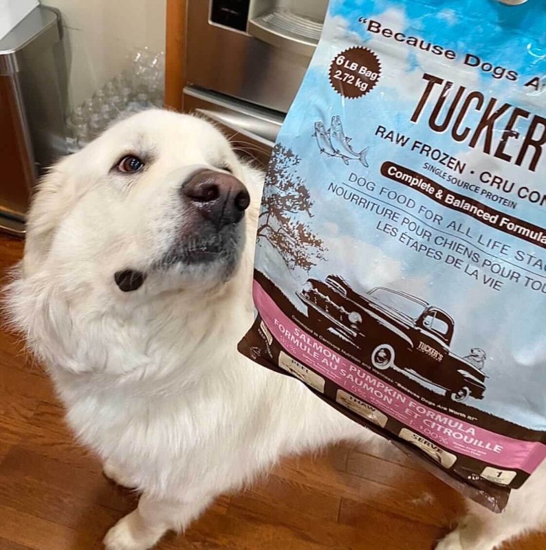 Tucker's, Frozen, Raw Dog Salmon/Pumpkin, 6 Pound