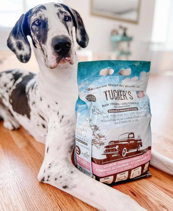 Tucker's, Frozen, Raw Dog Salmon/Pumpkin, 6 Pound