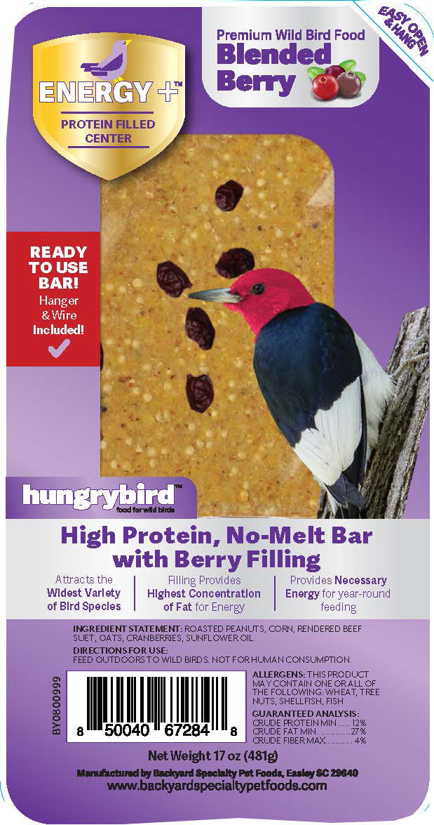 Hungrybird Rtu Energy Protein Filled Suet Bar