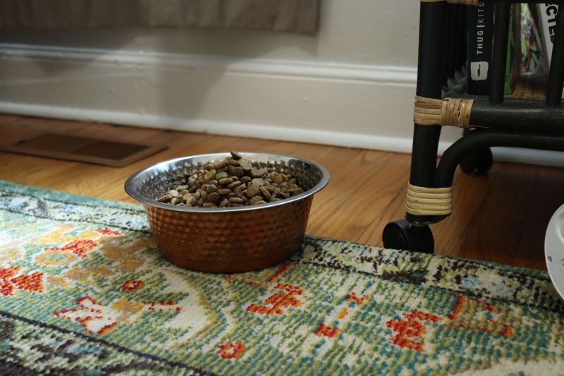 SPOT Honeycomb Hammered Copper Dog Dish 3Qt, 58565