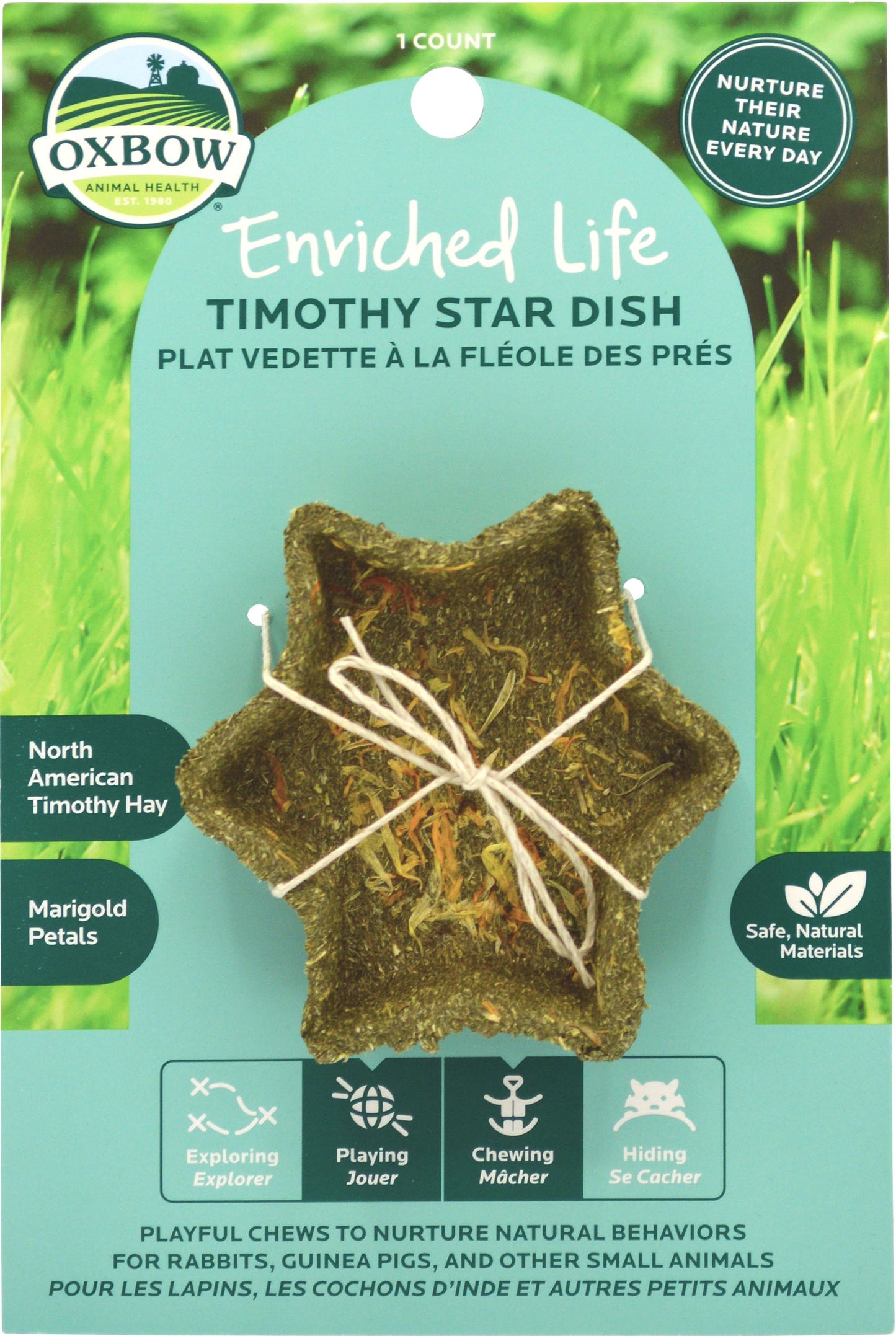 Enriched Life Timothy Star Dish