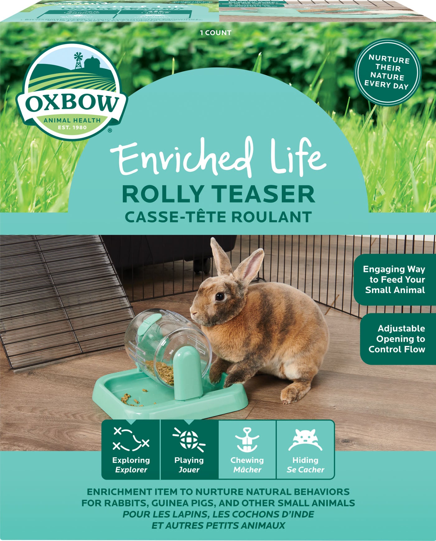 Enriched Life Rolly Teaser