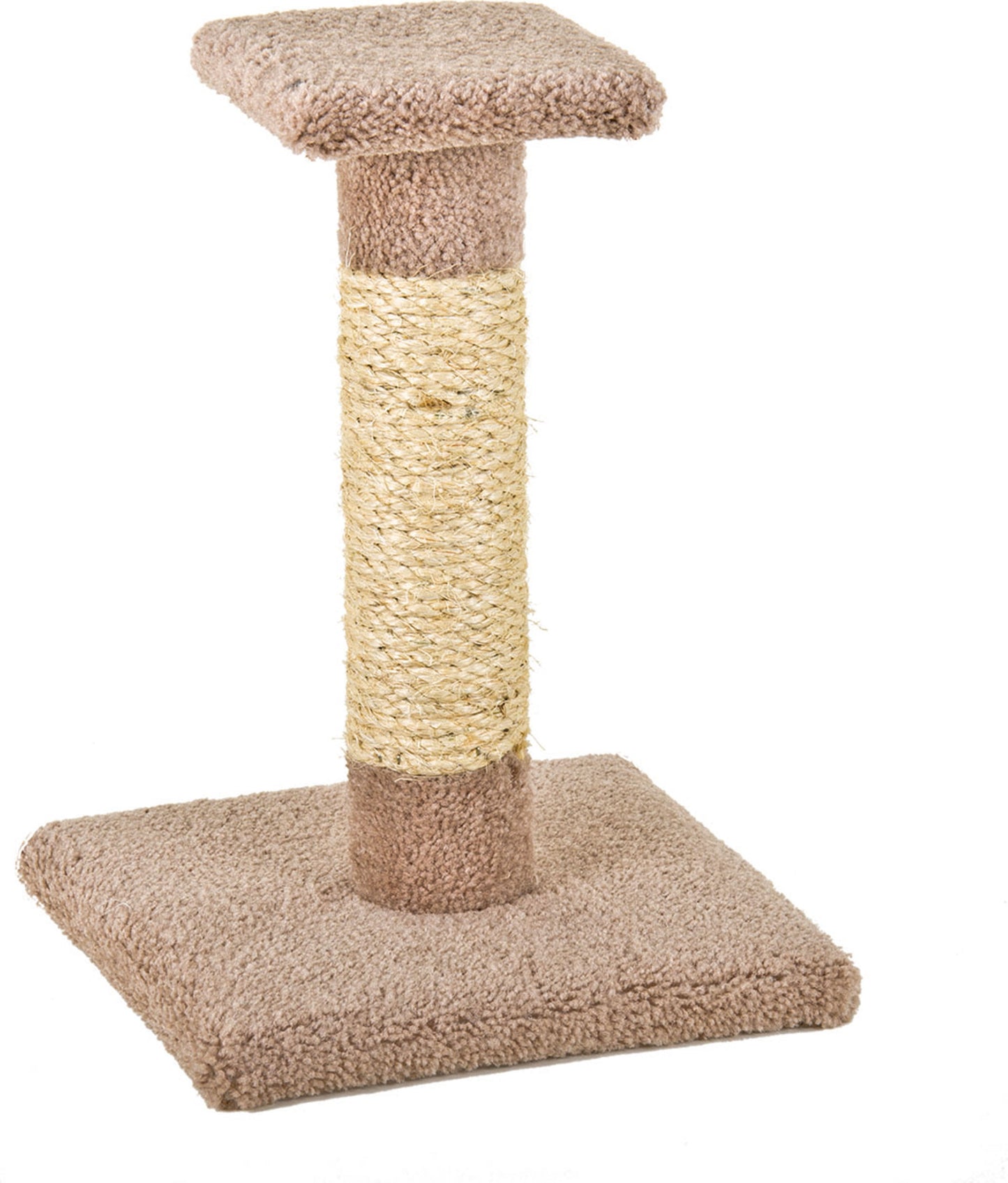 Kitty Cactus W/Sisal & Top