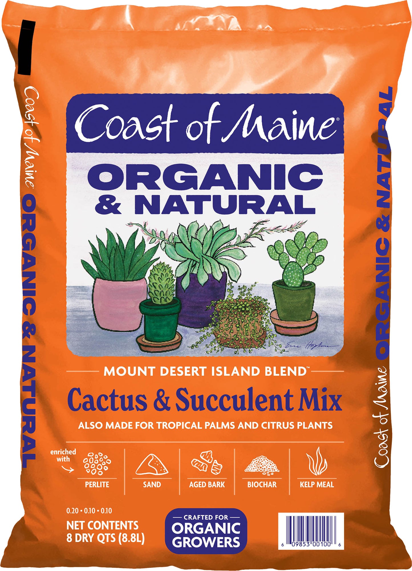 Mt Desert Island Cactus & Succulent Mix