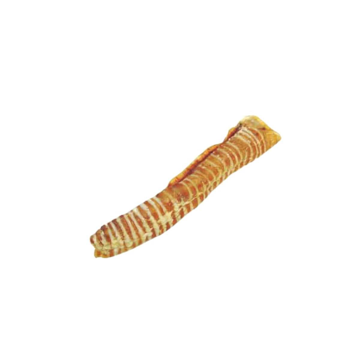 K9-Kravings Canine Jumbo Beef Trachea-50 ct