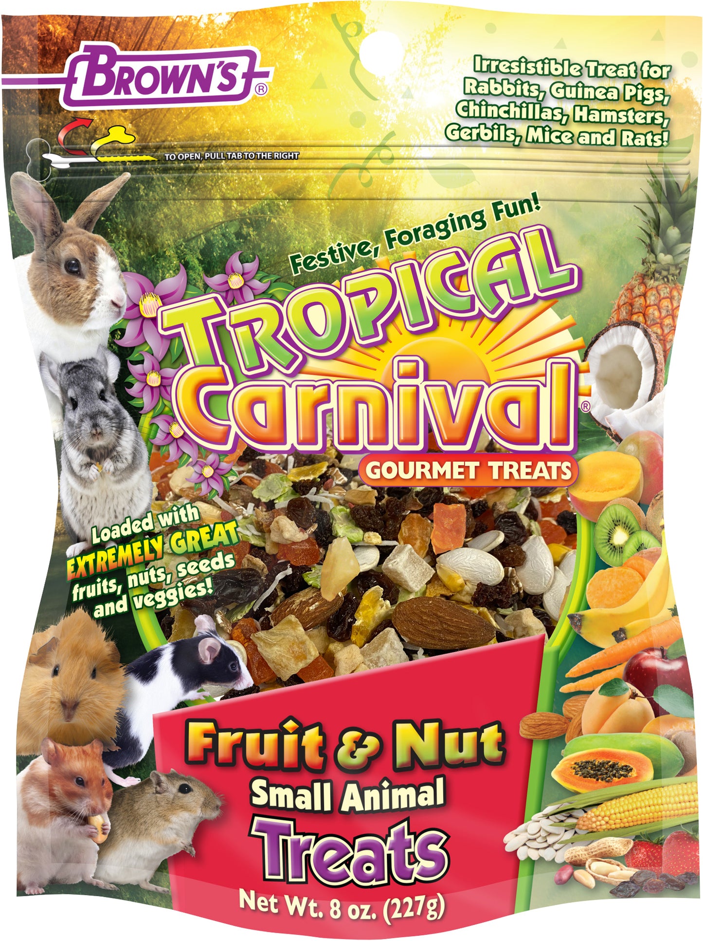 Tropical Carnival Fruit & Nut Small Animal Treats