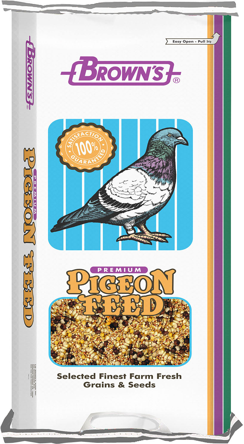 Breeder Popcorn Pigeon Food