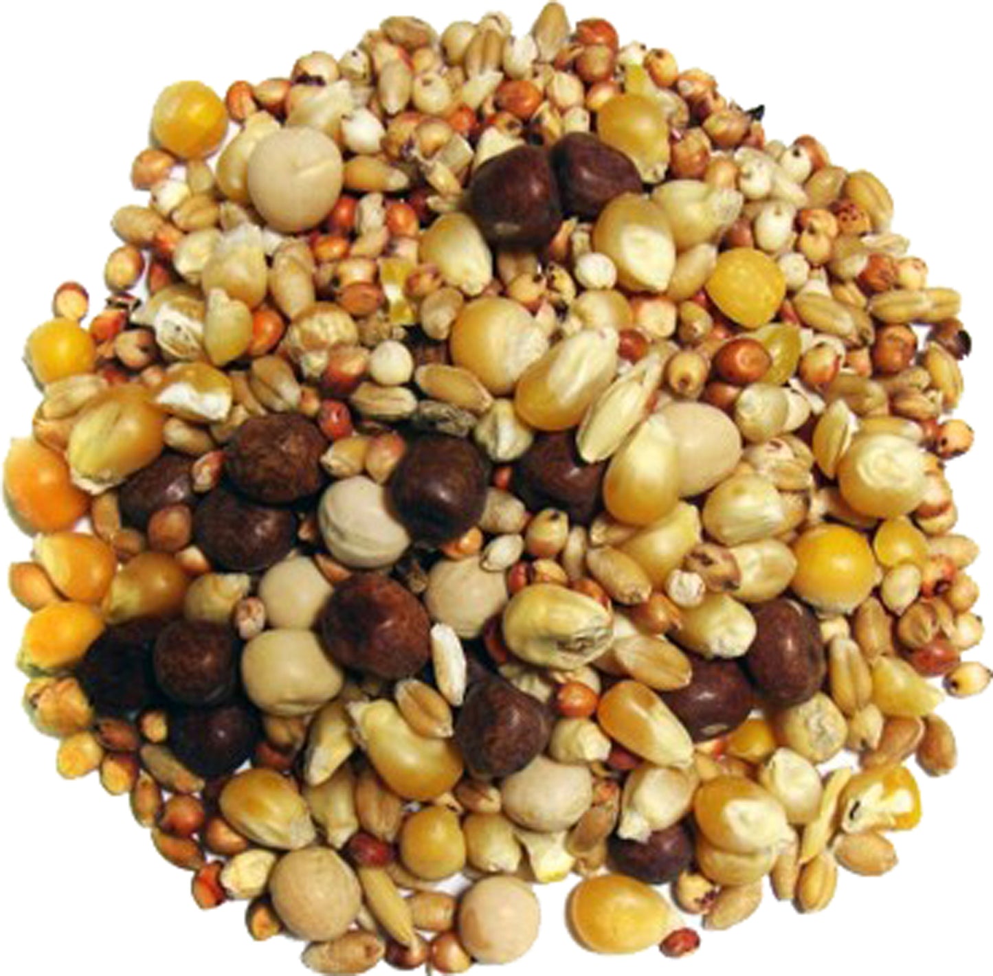 Breeder Small Corn Pigeon Food