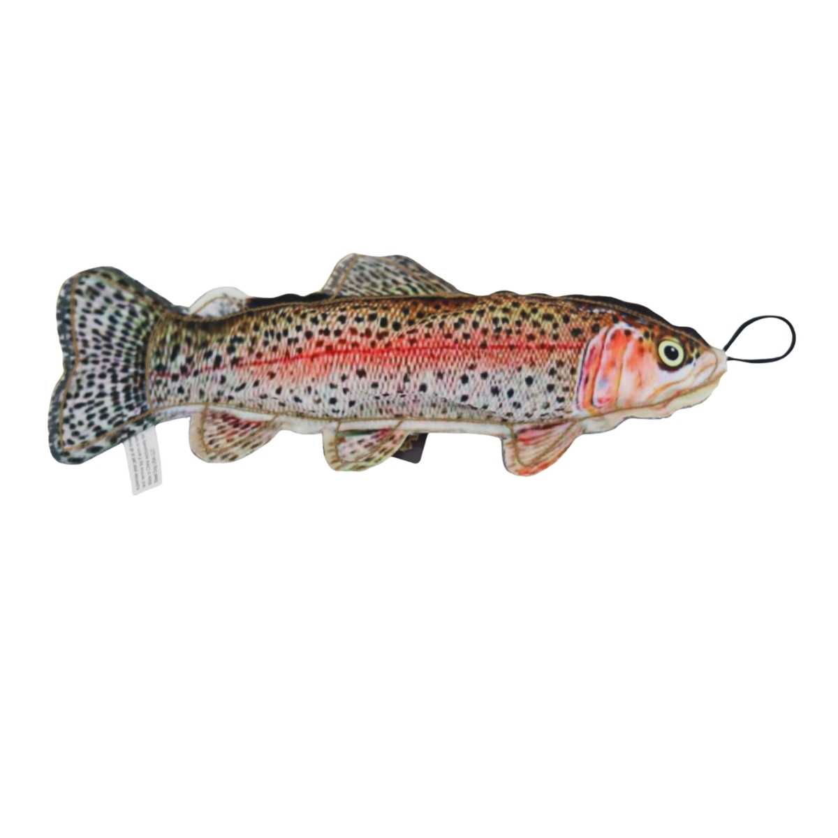 Steel Dog Freshwater Fish Rainbow Trout