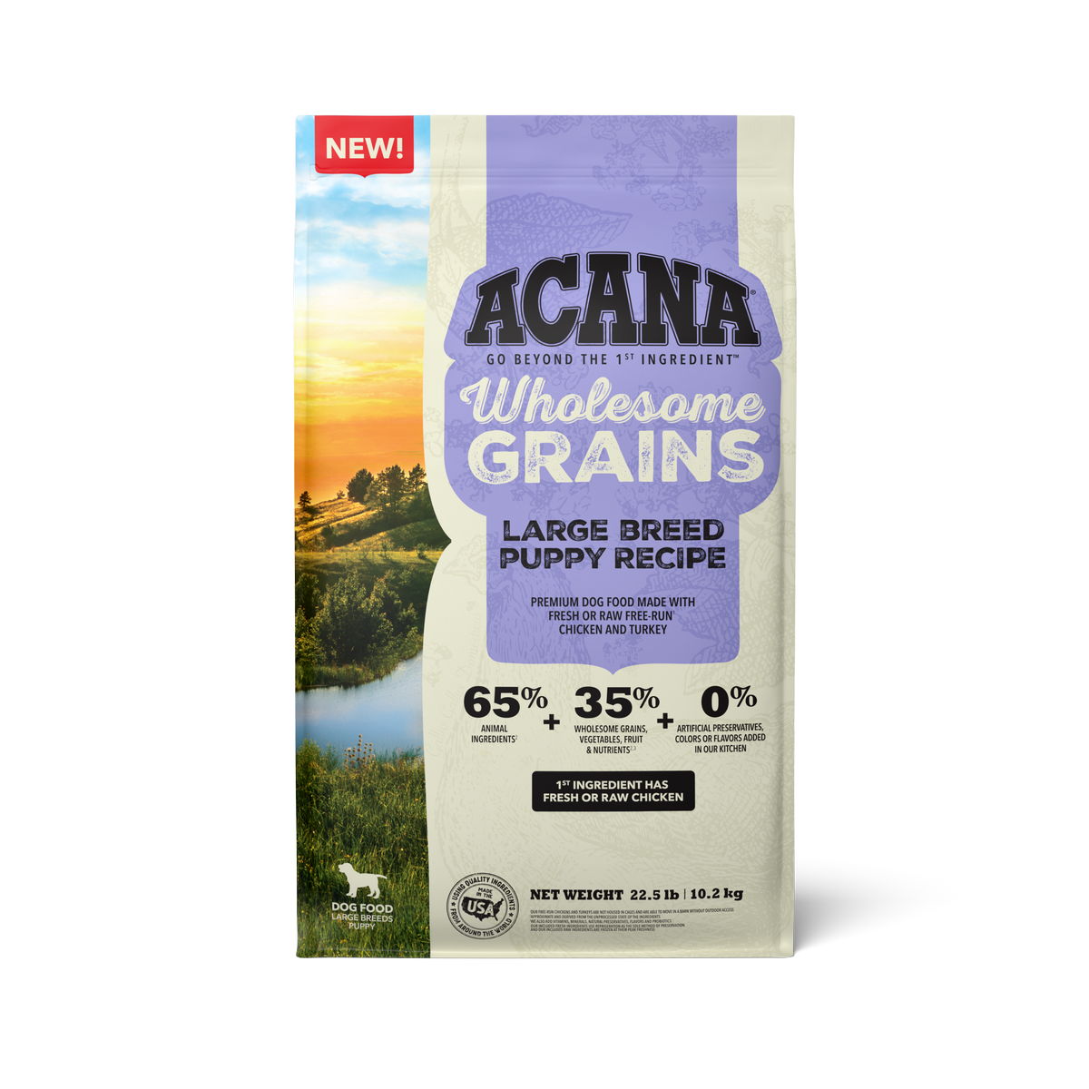 Acana Dog Wholesome Grains Large Breed Puppy-22.5 lb Bag