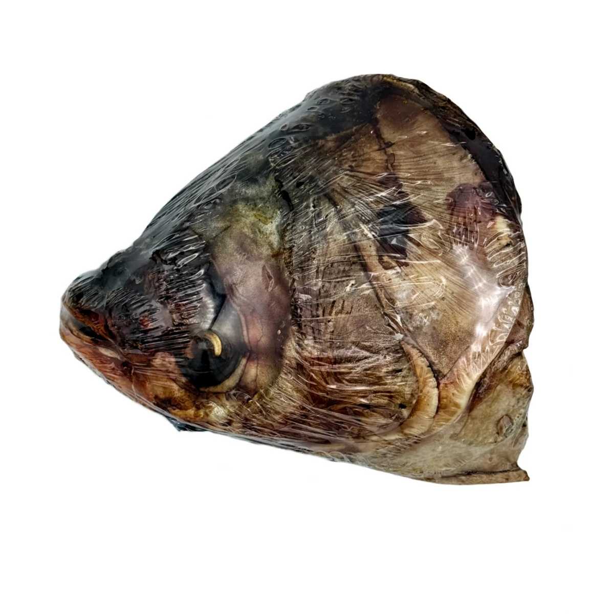 Gaines Carp Head-10 ct Bulk