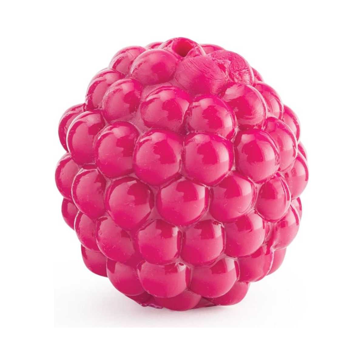 Charming Pet Orbee-Tuff Raspberry Treat-Dispensing Dog Toy