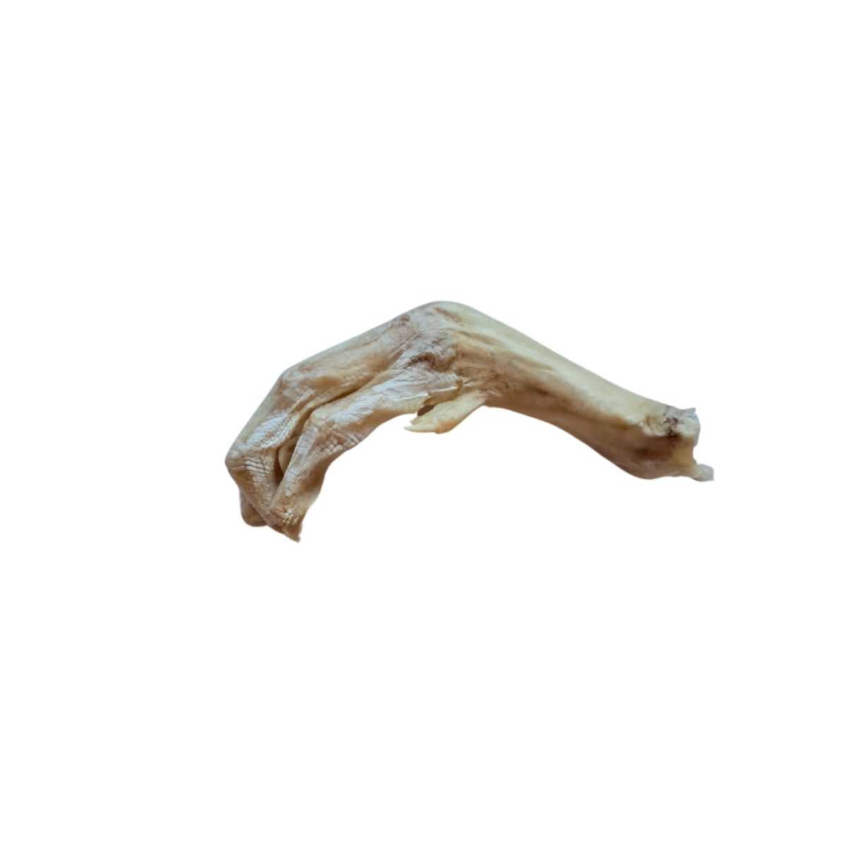 Bones & Co Freeze Dried Duck Feet Bulk 18 ct Bag