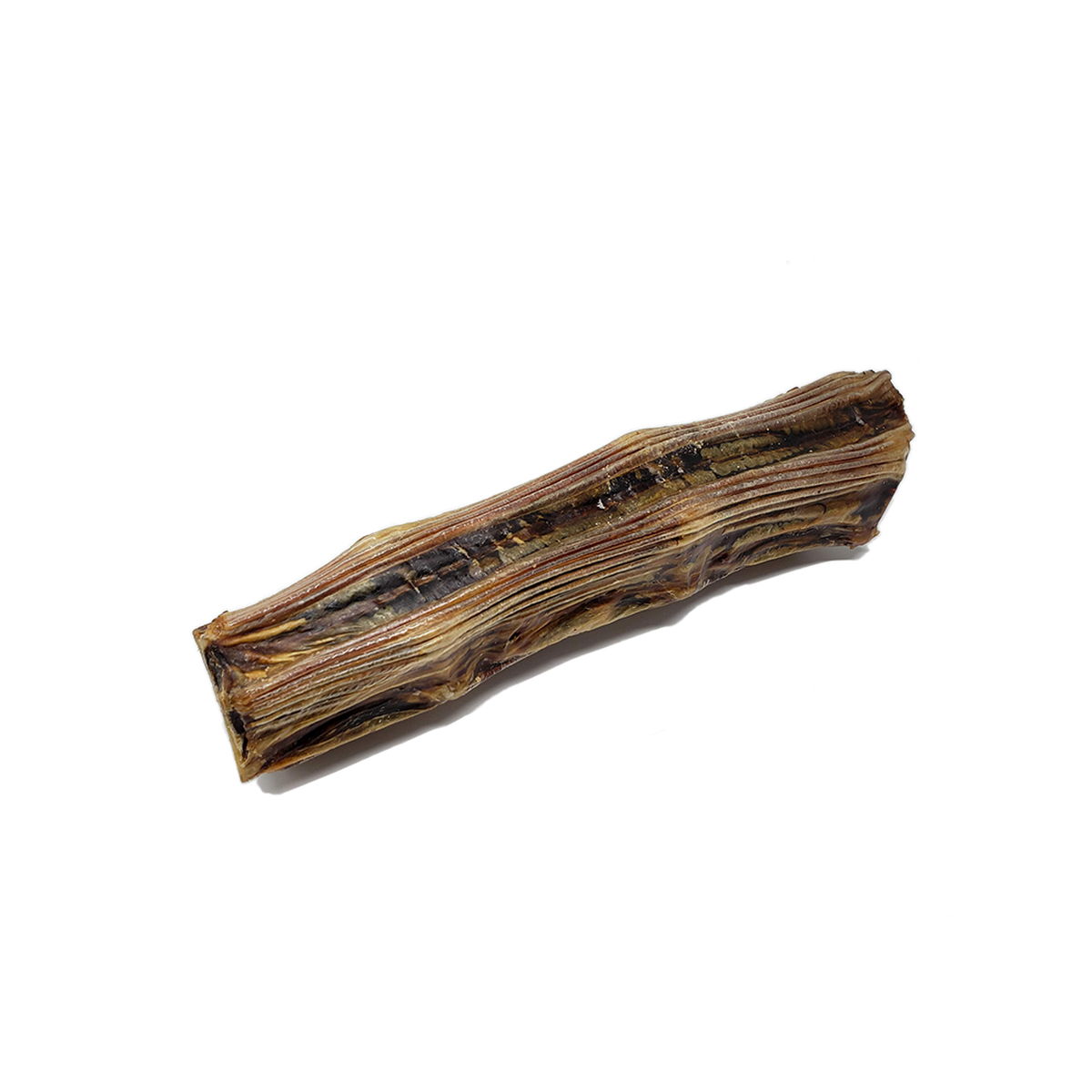 Close-up of a single dried kangaroo tail, brown with layered texture, side view.