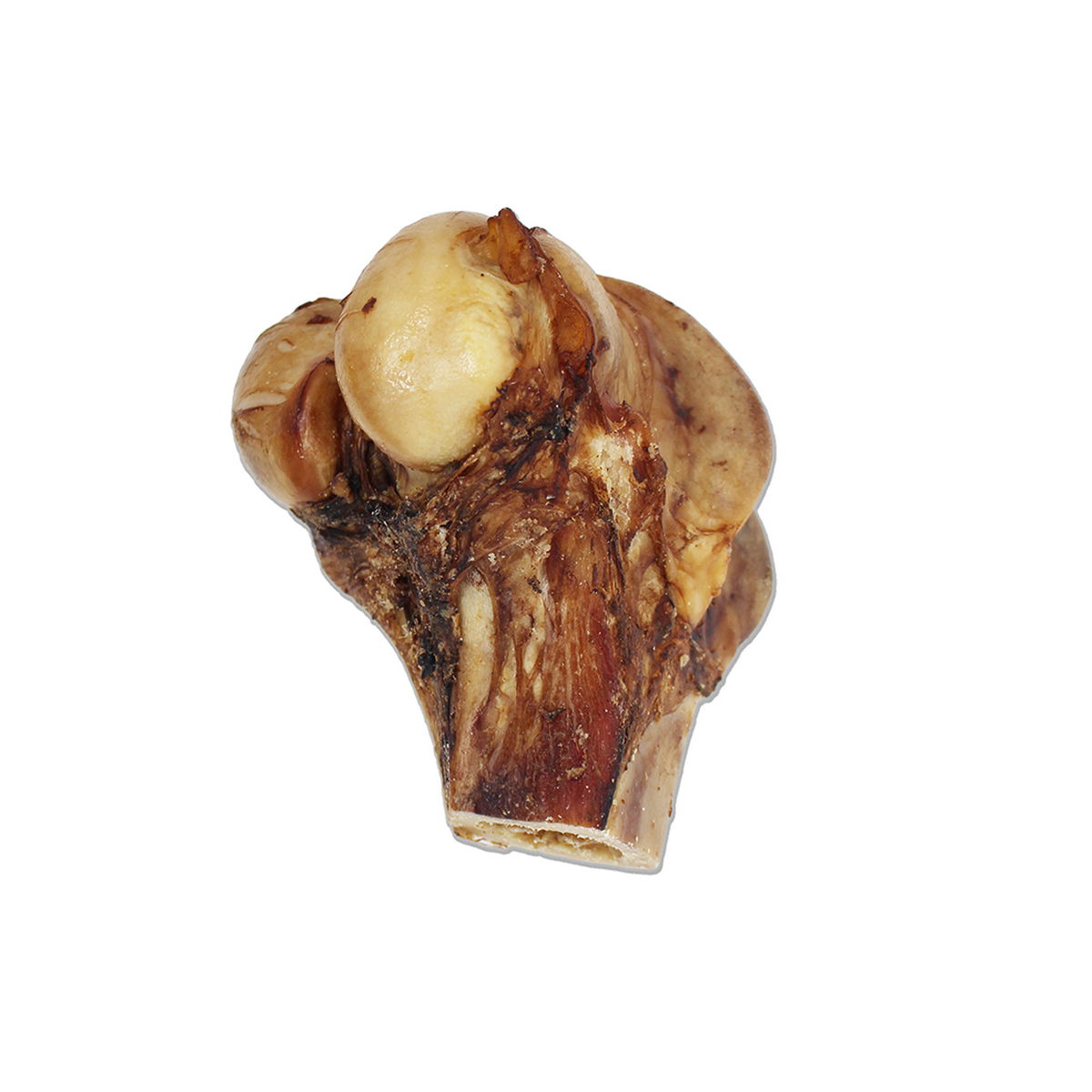 Close-up of a single cured knuckle with browned exterior and light-colored bone, showing texture and natural color variations.