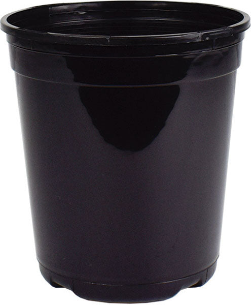 Nursery Container (Pack Of 25)
