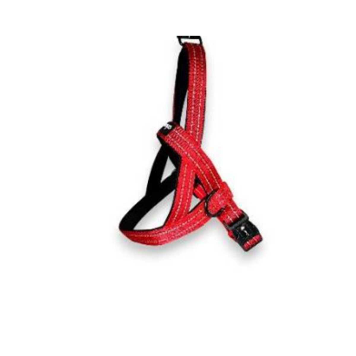Alcott Norwegian Harness