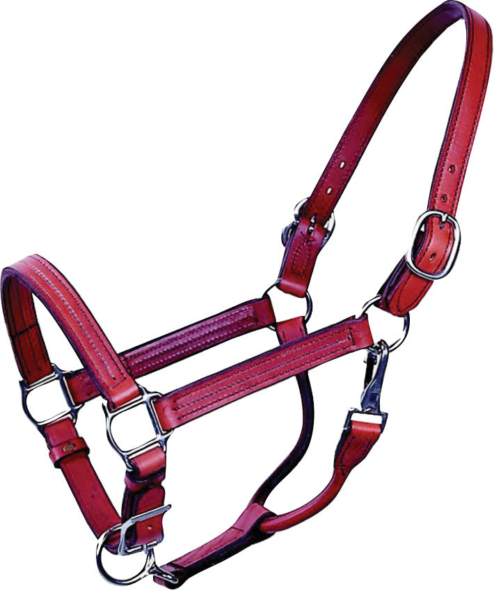 Red leather Beiler's Track Halter with metal rings and buckles, front view close-up