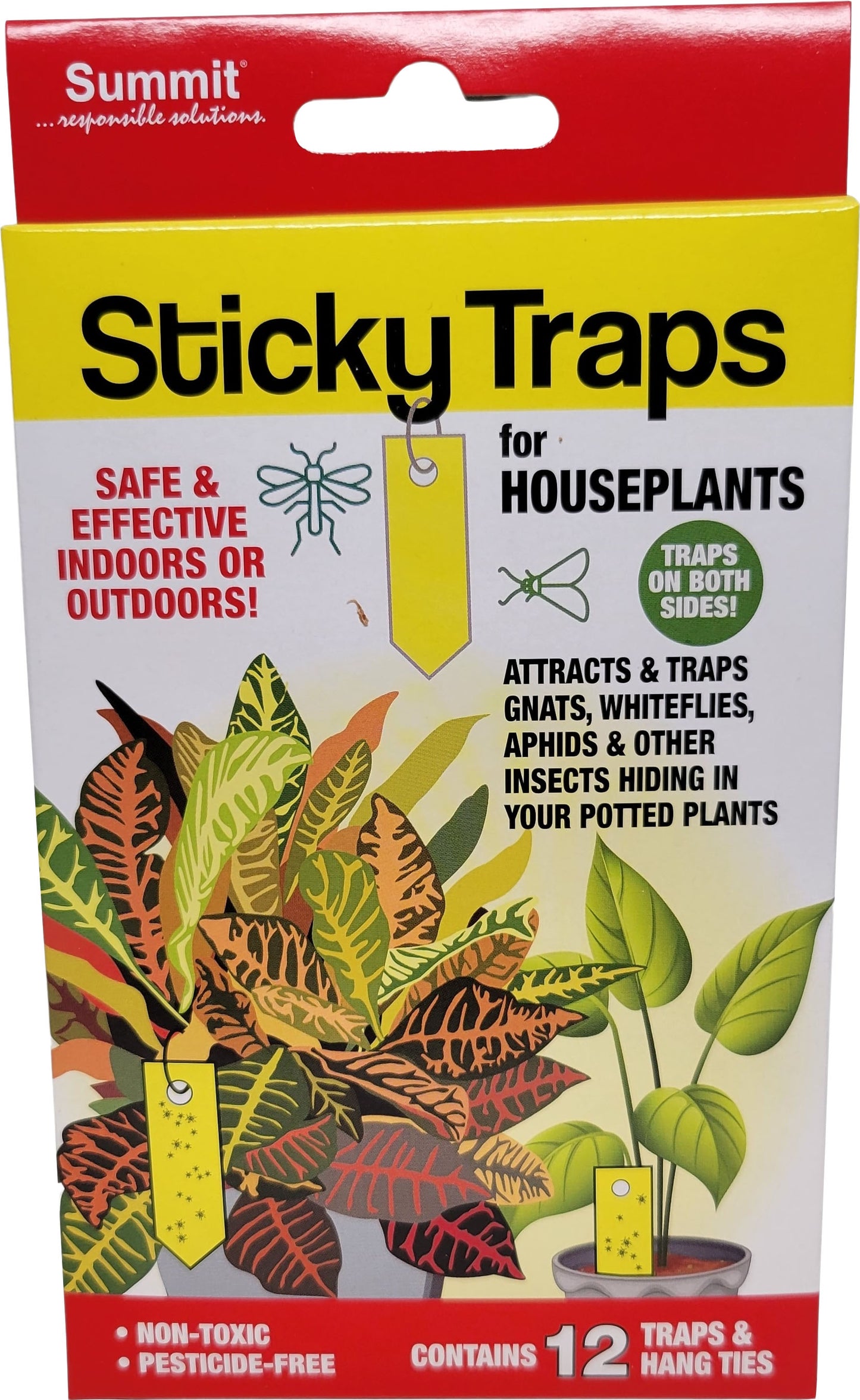 Stickytraps Houseplant Insect Traps