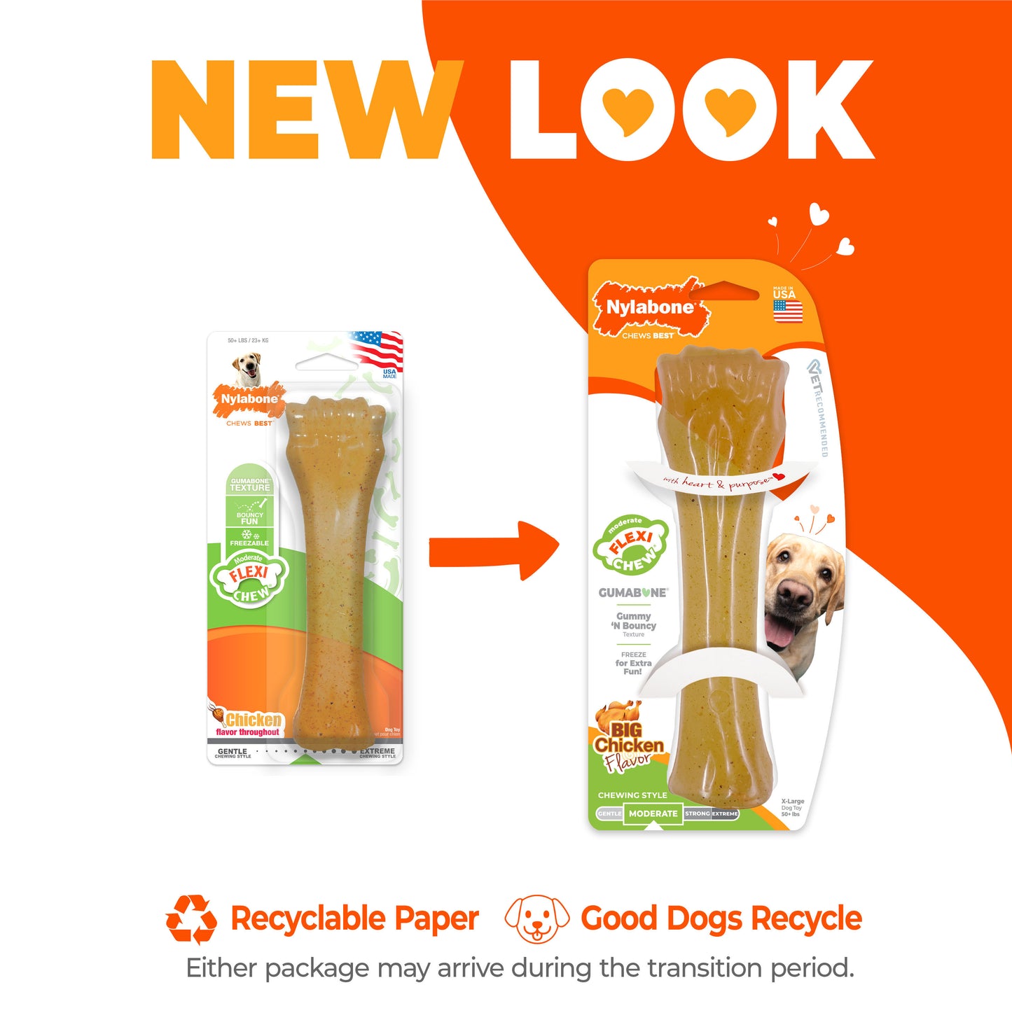 Nylabone Moderate Chew Bone