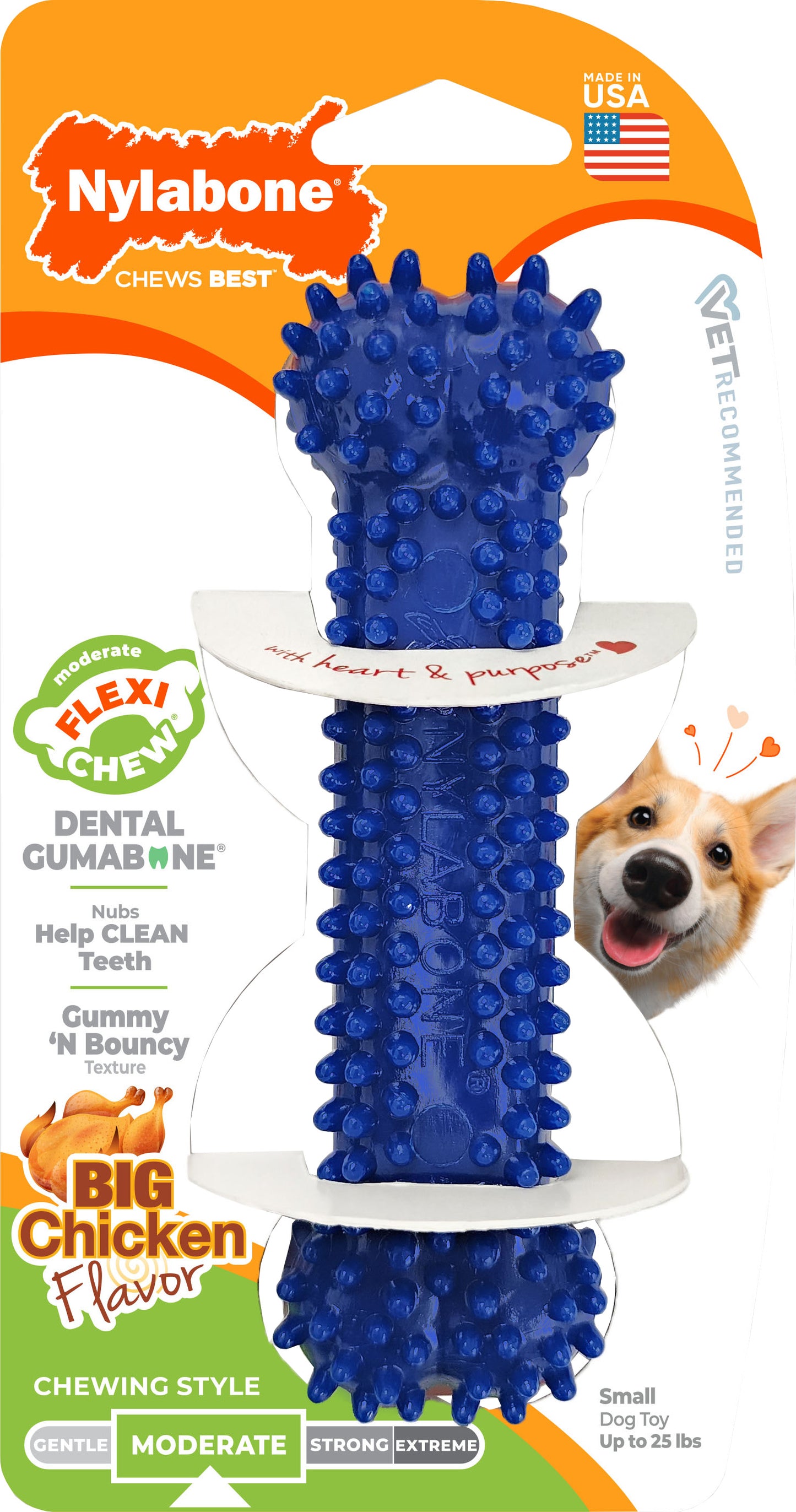 Nylabone Flexi Chew Dental Bone