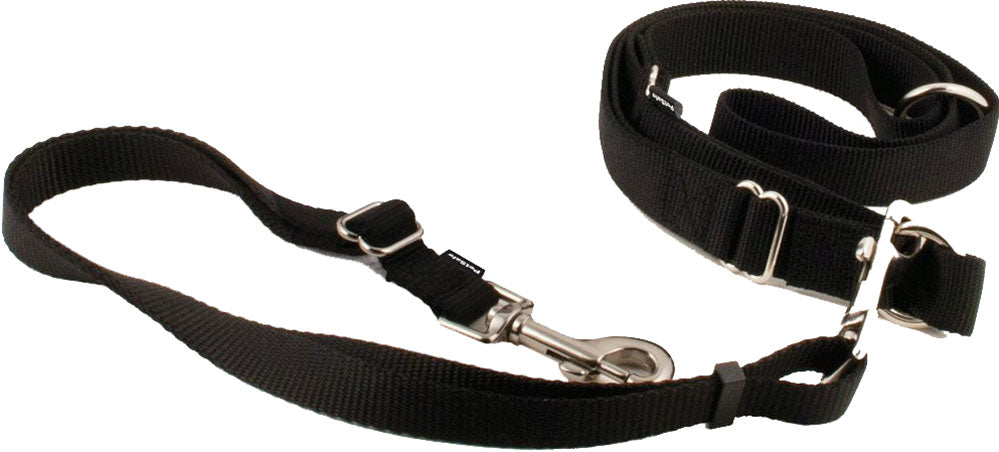 Petsafe Hands Free Leash