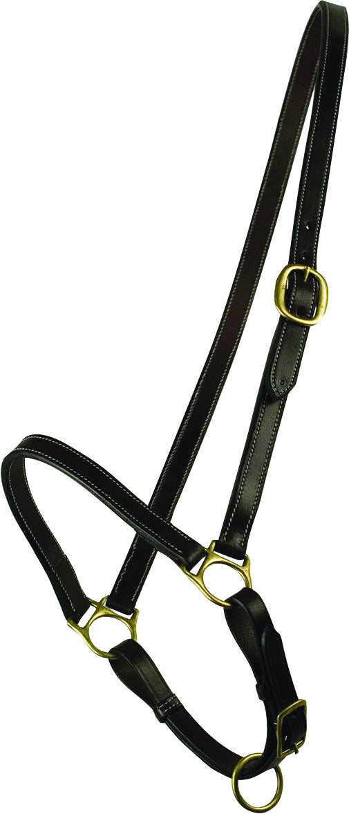 Gatsby Leather Grooming Halter