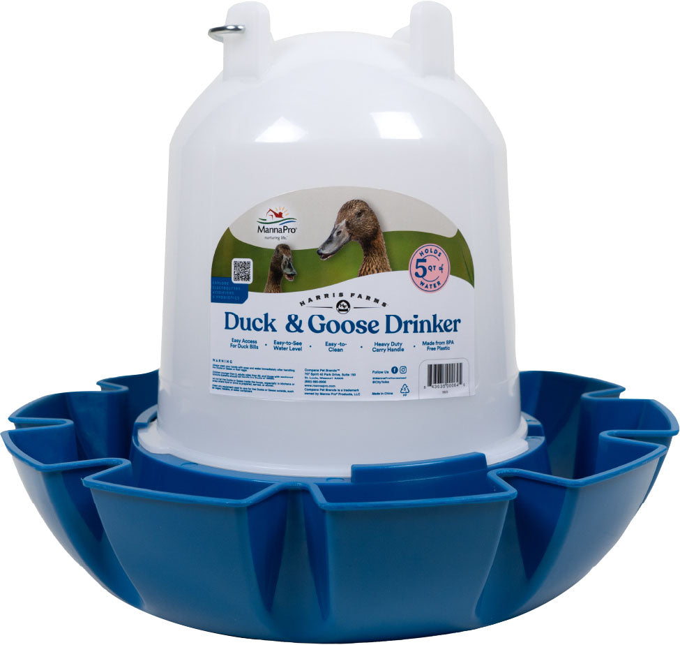 Duck Drinker