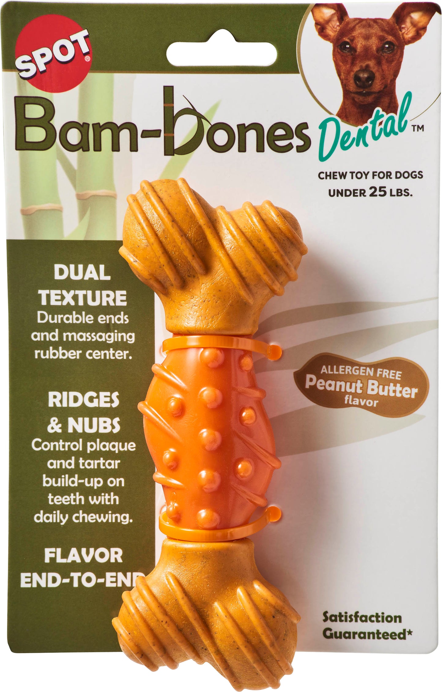 Spot Bambone Dental Bone