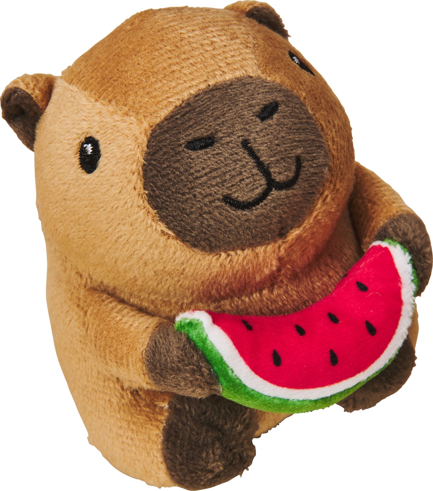 Spot Capybara With Watermelon Catnip Toy