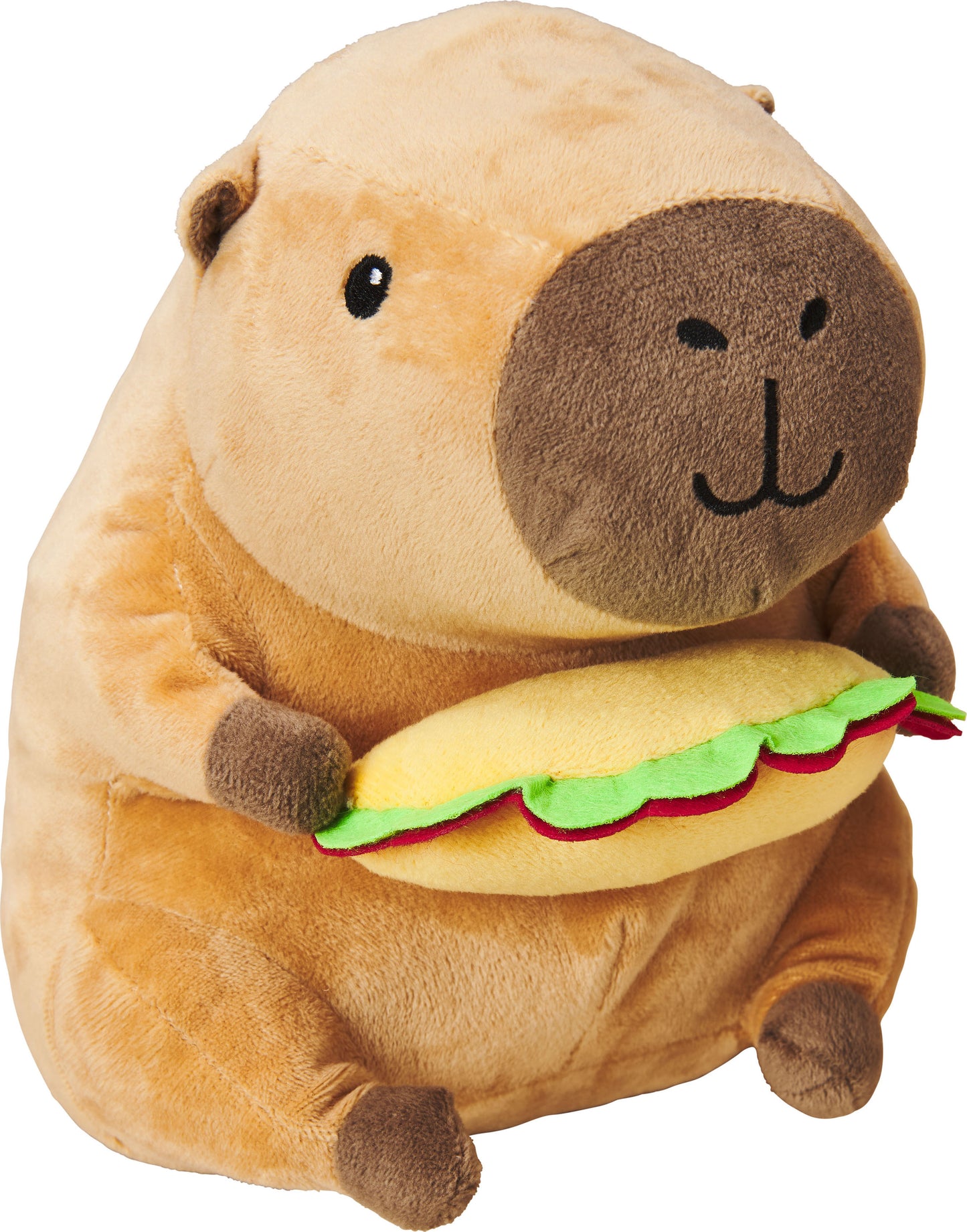 Spot Capybara With Taco