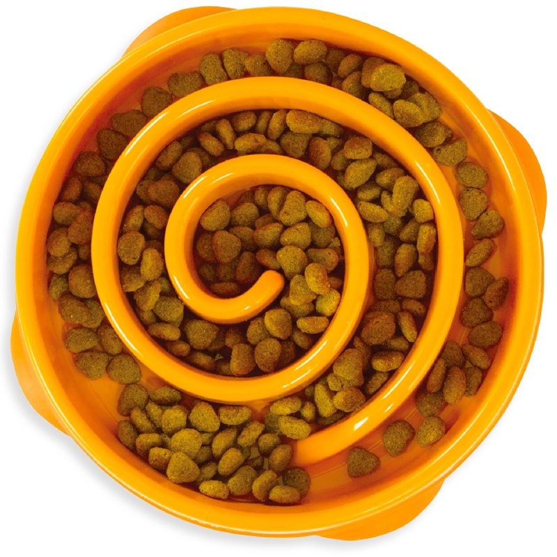 Outward Hound Fun Feeder Slow Bowl in Orange Plastic for Dogs