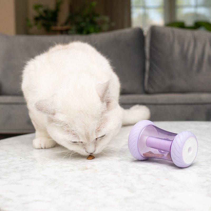 Ozark Dog 1 Ply Nylon Dog Leash