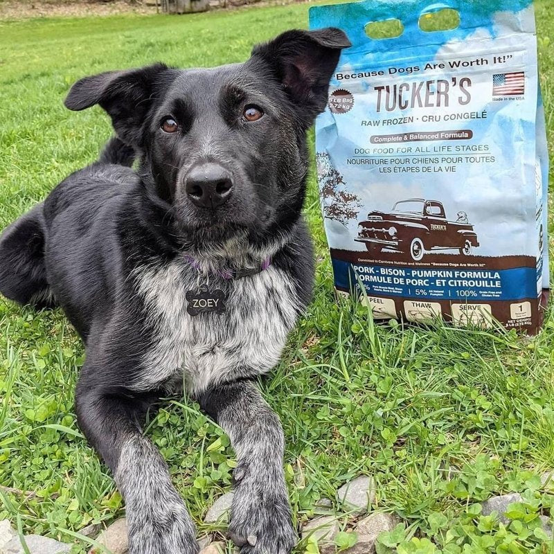 Tuckers All Natural Grain Free Raw Frozen Pork Bison Pet Dog Food, 96 Ounce