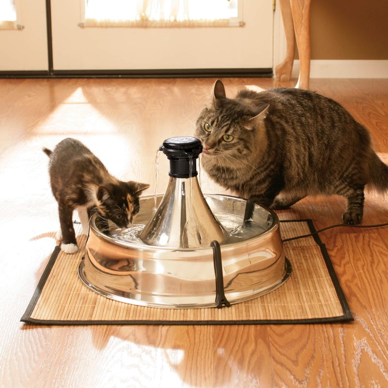 PetSafe Drinkwell Stainless Steel 360 Multiple Pet Fountain - Scratch and Rust Resistant Automatic Water Dispenser for Cats or Dogs - Adjustable Flow Control - 128 Ounce (3.8 Liter) - Filters Included
