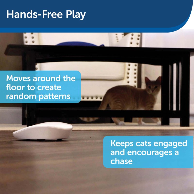 PetSafe Laser Tail Cat Toy - Fun and Safe Laser Light Game for Cats - Hands Free Play