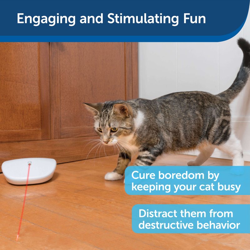 PetSafe Laser Tail Cat Toy - Fun and Safe Laser Light Game for Cats - Hands Free Play