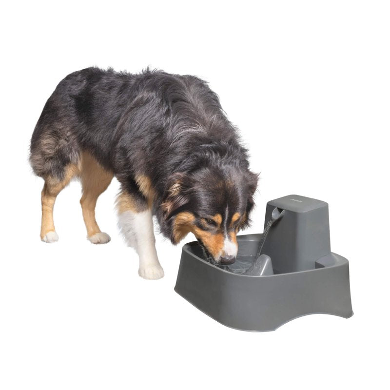 PetSafe Drinkwell 2 Gallon Pet Fountain Large